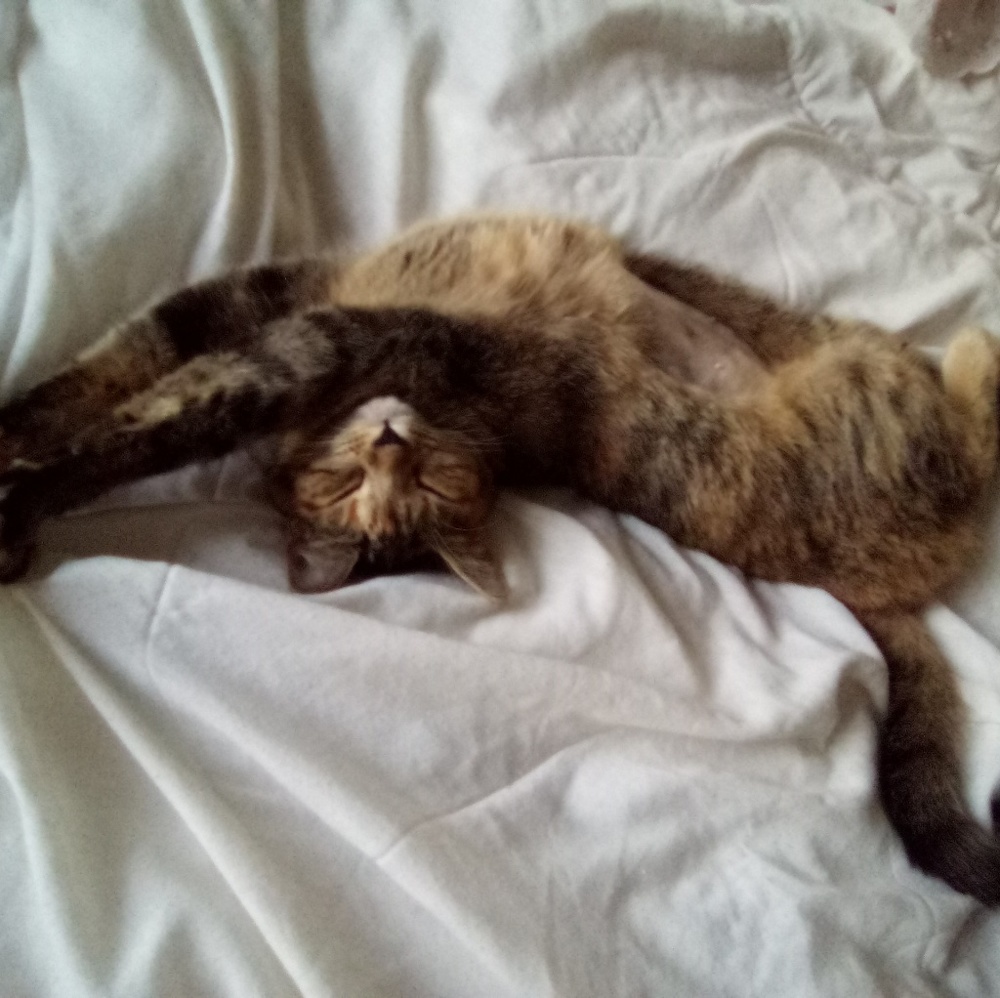 Meet your Posher, Savanah